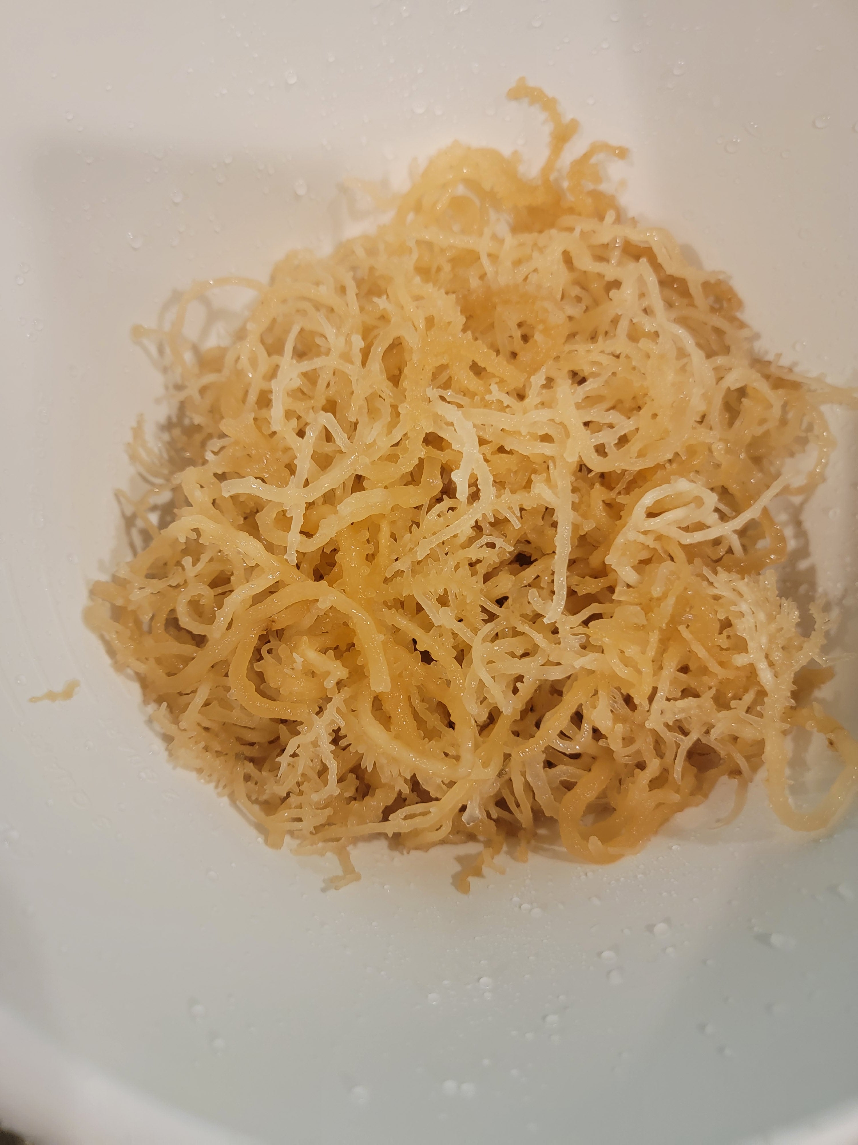 Irish Sea Moss