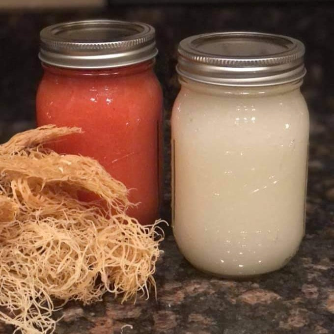 Organic Sea Moss Gel (Plain) 16oz Jar