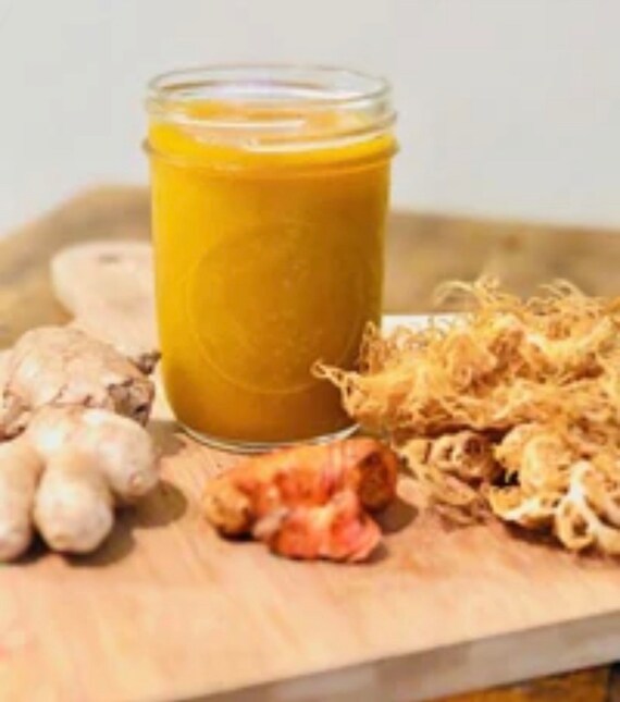 Turmeric & Ginger HERBAL Sea Moss Gel 16oz Jar