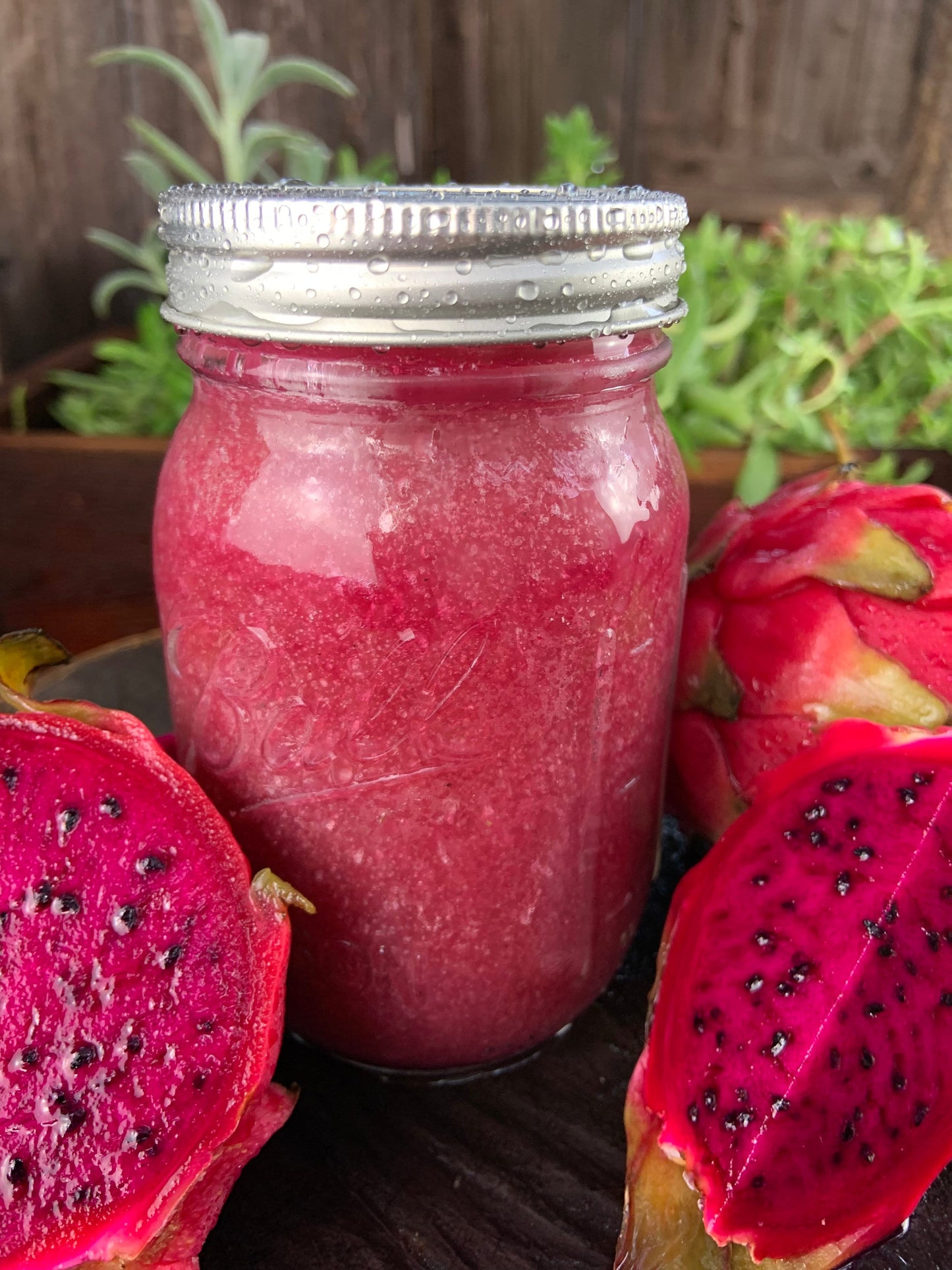 Dragon Fruit & Honey Sea Moss Gel 16oz Jar